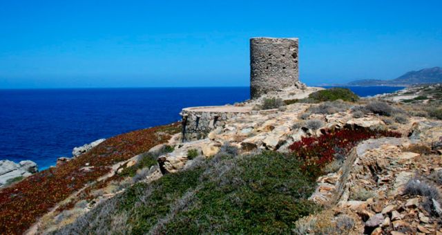 Scopri la regione della Balagne