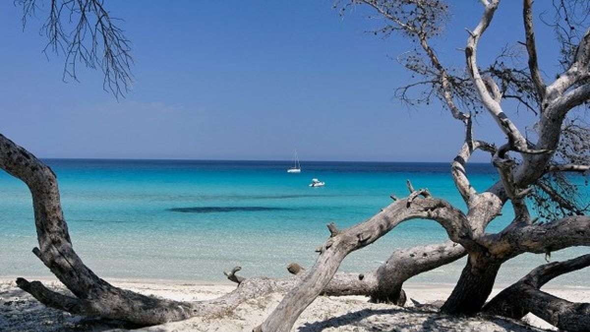 Scopri la Corsica del Nord per le tue vacanze